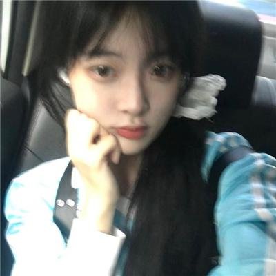 藏獒多吉