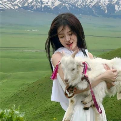 丢失的勋章:比利石的冒险